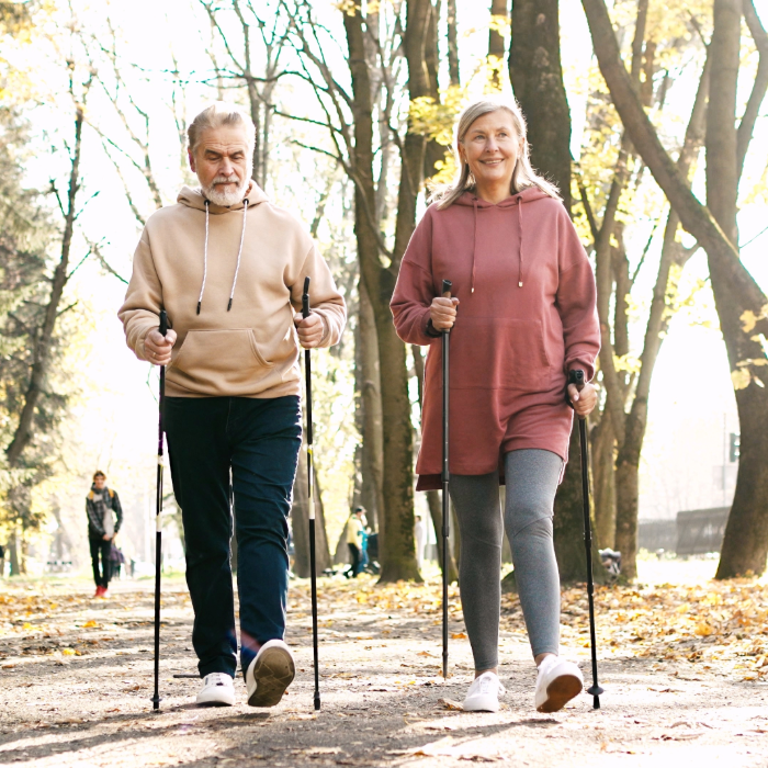 coa activities image 2